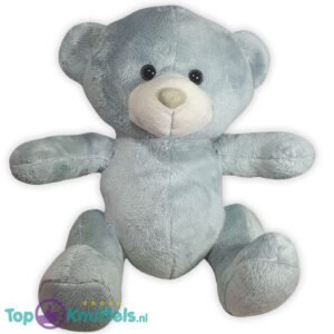 Pluche Teddy Bear Plush Grijs Teddy Bear 25 cm