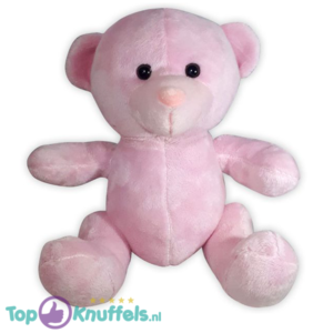 Pluche Teddy Bear Plush Pink Teddy Bear 25 cm
