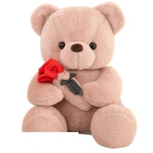 Bear Plush Toy Brown Whiteh Rode Roos 23 cm