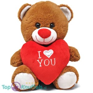 Teddy Bear Cuddle (Brown Whiteh Red Heart) Plush Toy 22 cm