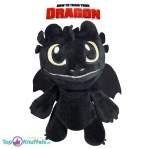 Hoe tem je een draak Plush Toy Baby Toothless (Black) 23 cm