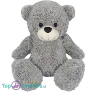 Teddy Bear Eddy Plush Toy (Grijs) 30 cm