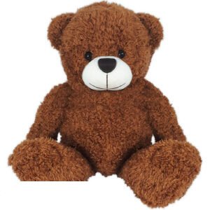 Teddy Bear Eddy Plush Toy (Brown) 30 cm