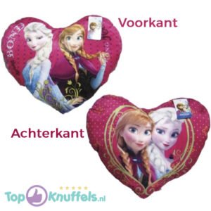 Disney FPinkn Anna Elsa Pluche Kussen 25 cm