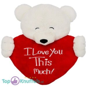 Teddy Bear Hoofd Whiteh Red Heart “I Love You This Much!” Plush Toy 20 cm